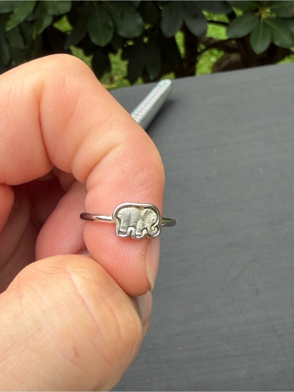 Elephant Ring - Metal Detecting Find